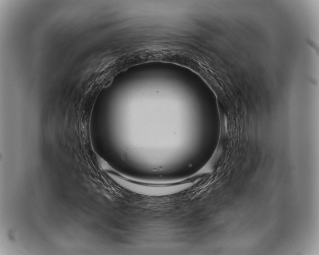 X0000097491109200802291425