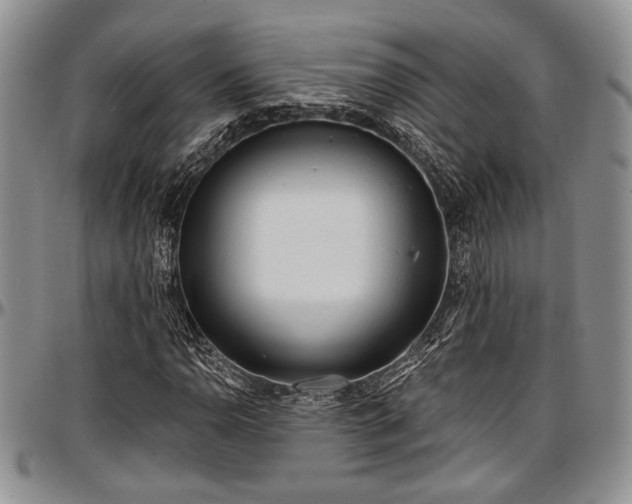 X0000097491110200802291425