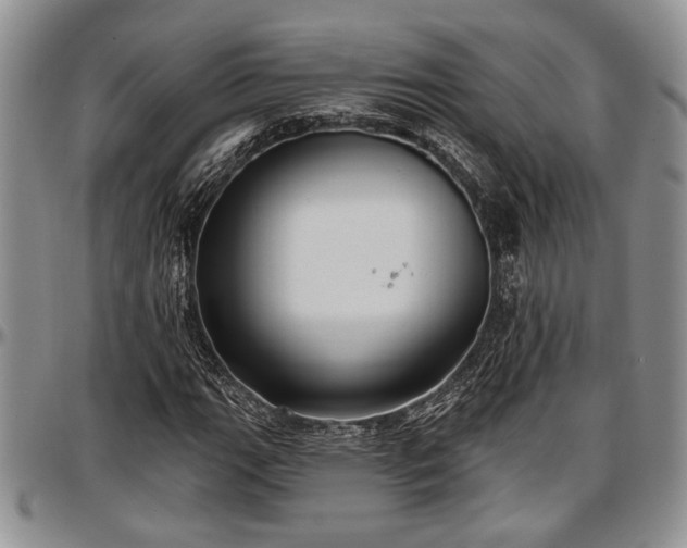 X0000097491111200802291425