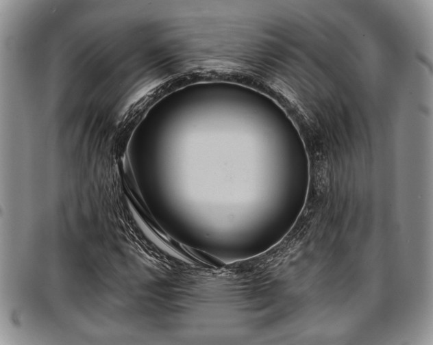 X0000097491112200802291425