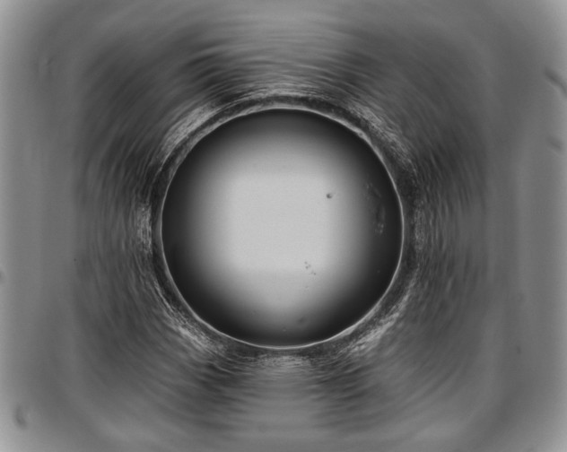 X0000097491113200802291425