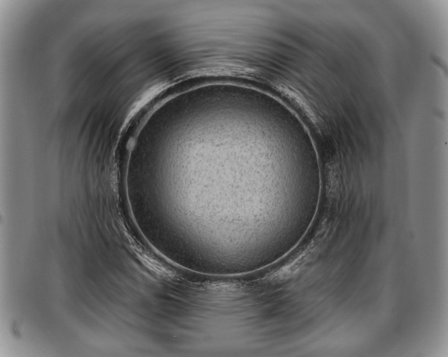 X0000097491114200802291425