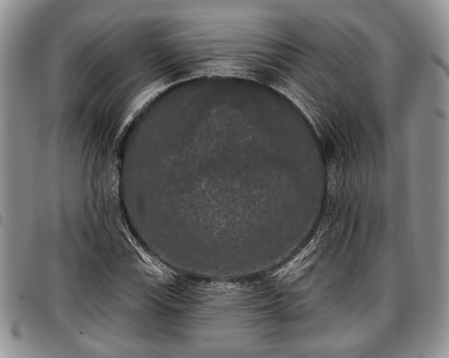 X0000097491115200802291425