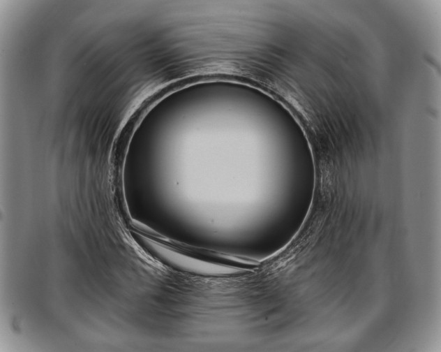 X0000097491116200802291425