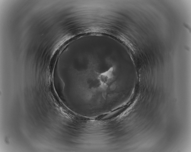 X0000097491117200802291425