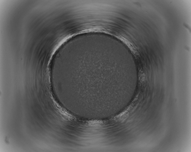 X0000097491118200802291425