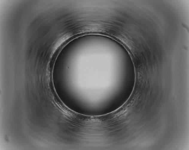 X0000097491119200802291425