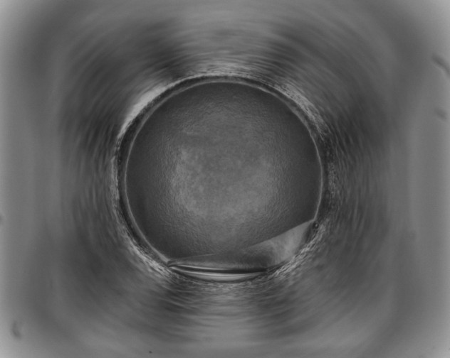 X0000097491120200802291425