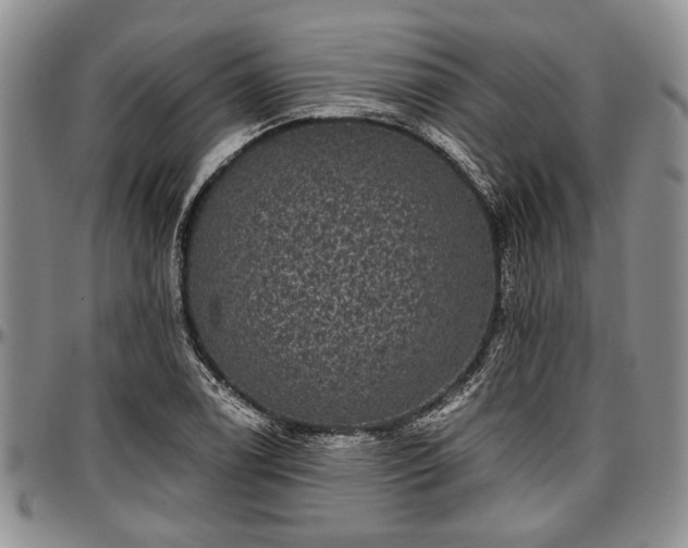 X0000097491122200802291425