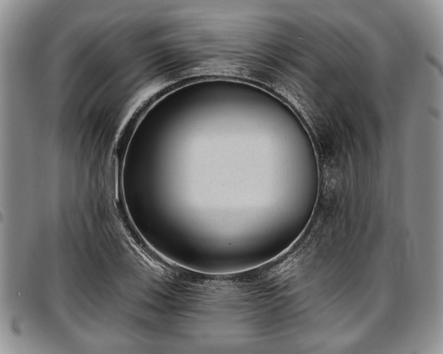 X0000097491123200802291425