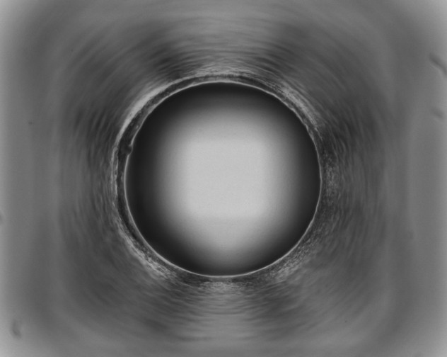 X0000097491124200802291425