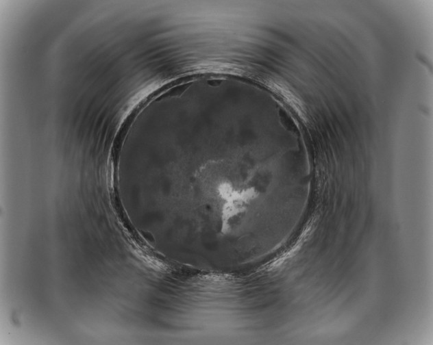 X0000097491125200802291425