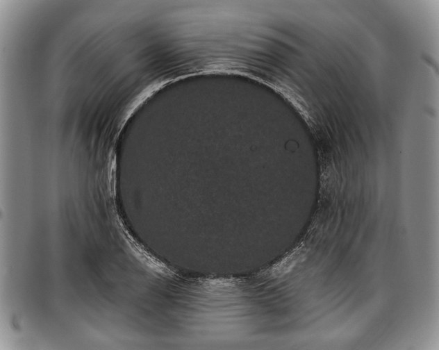 X0000097491126200802291425