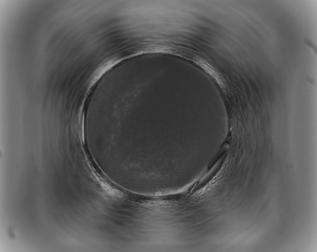 X0000097491127200802291425