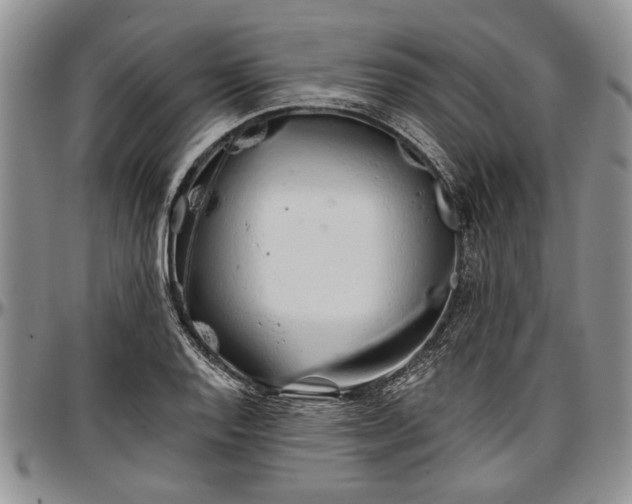 X0000097491128200802291425