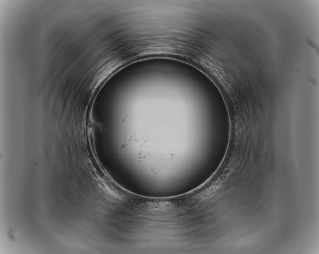 X0000097491129200802291425