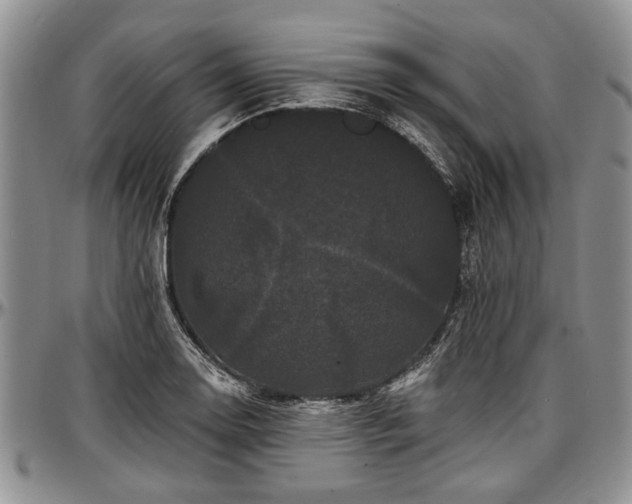 X0000097491130200802291425