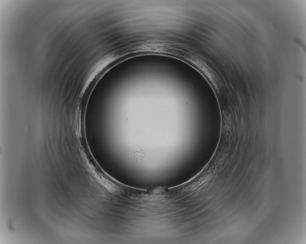 X0000097491131200802291425