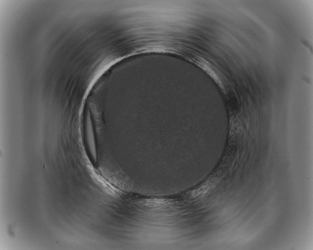 X0000097491132200802291425