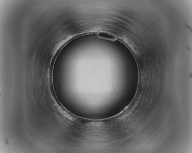 X0000097491134200802291425