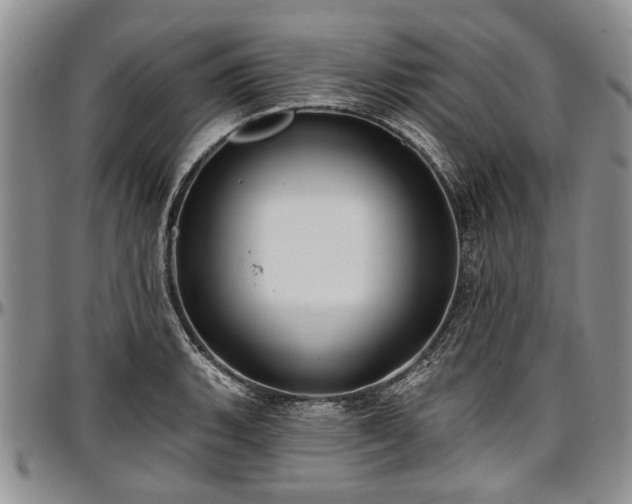 X0000097491135200802291425