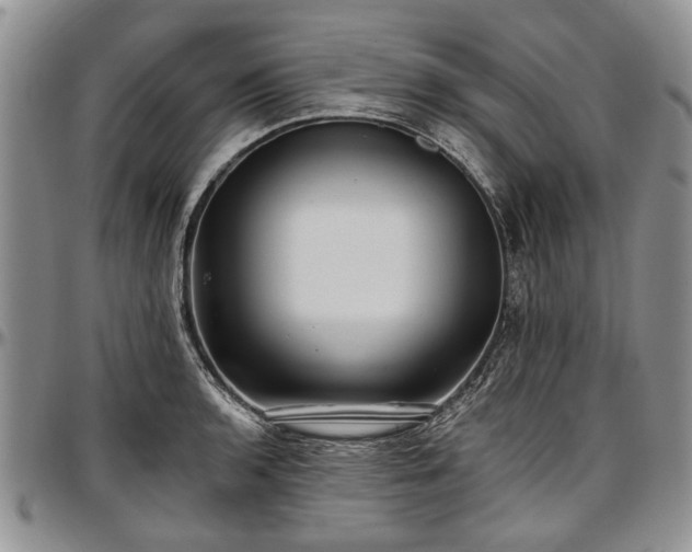 X0000097491136200802291425