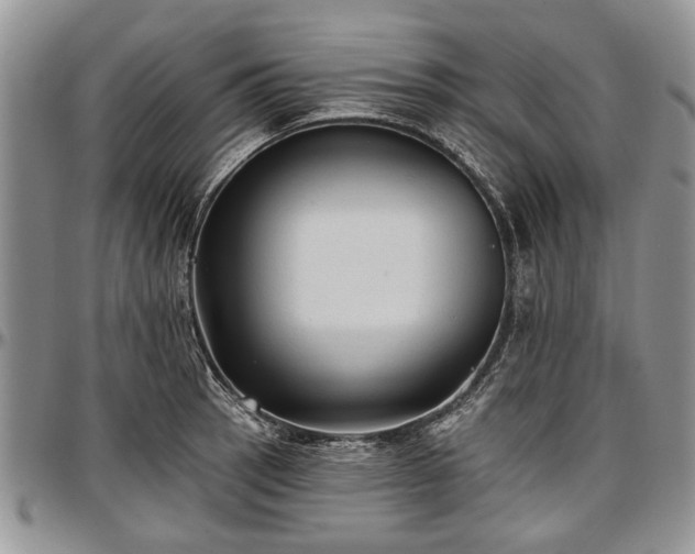 X0000097491137200802291425