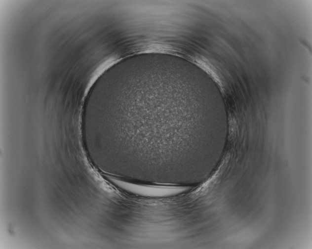 X0000097491138200802291425