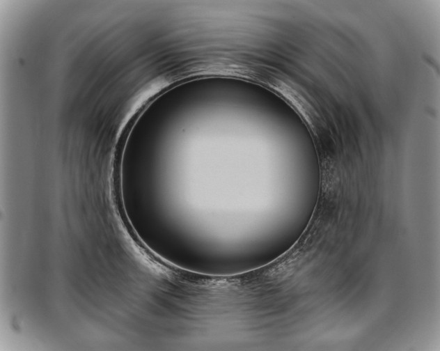 X0000097491139200802291425