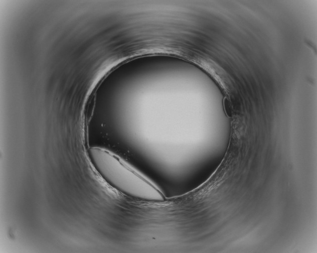 X0000097491140200802291425