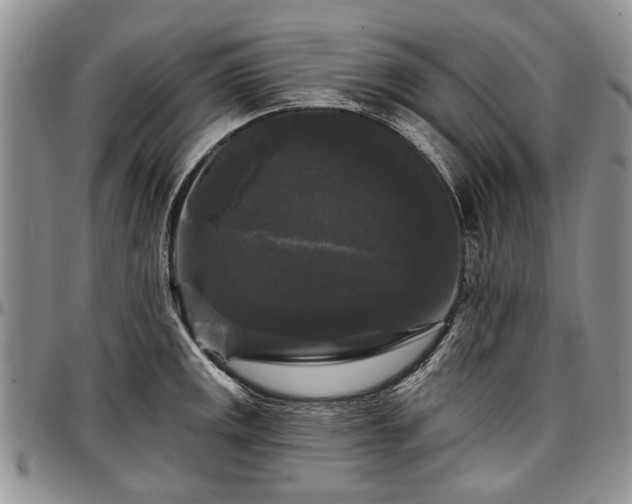 X0000097491141200802291425