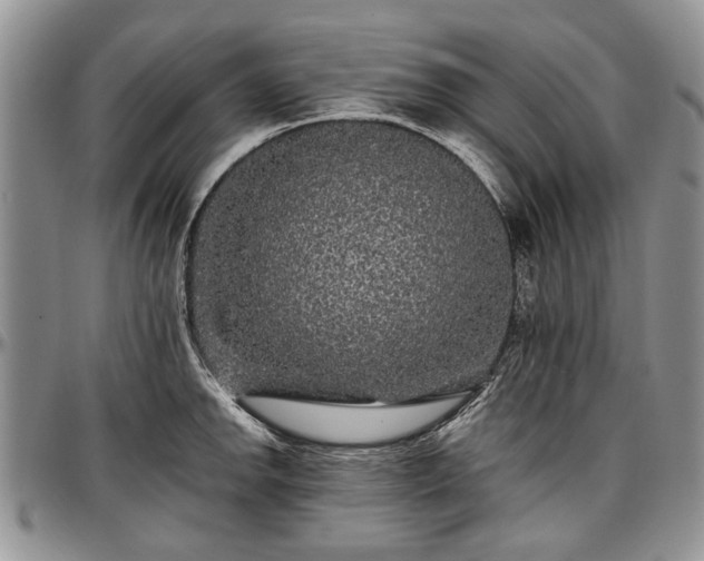 X0000097491142200802291425