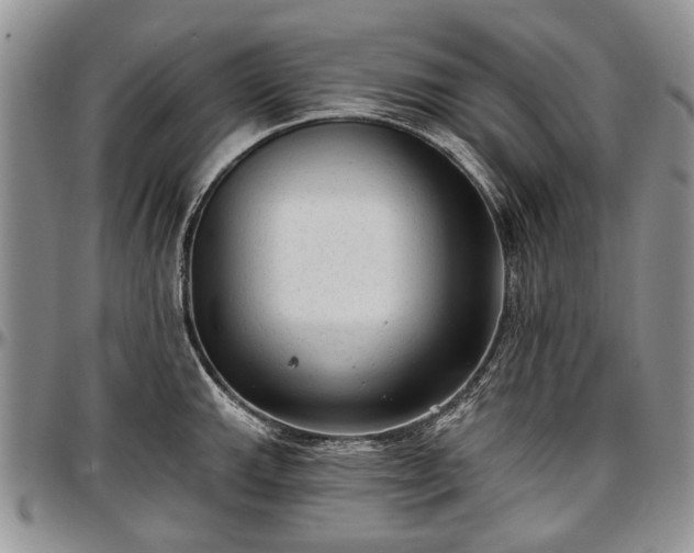 X0000097491143200802291425