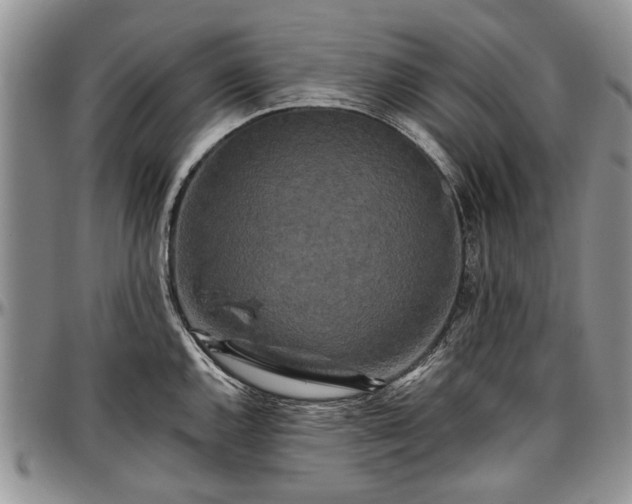 X0000097491144200802291425