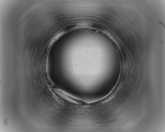 X0000097491145200802291425