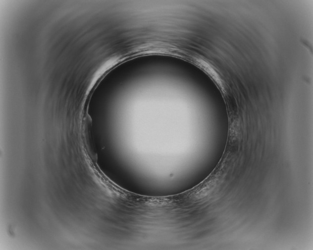 X0000097491146200802291425