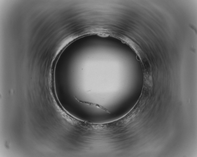 X0000097491147200802291425