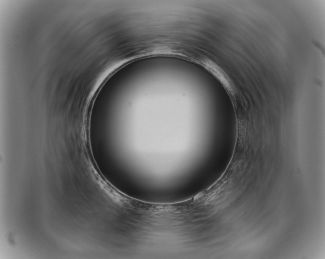 X0000097491148200802291425