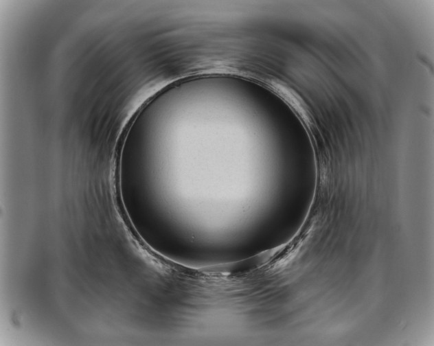 X0000097491149200802291425