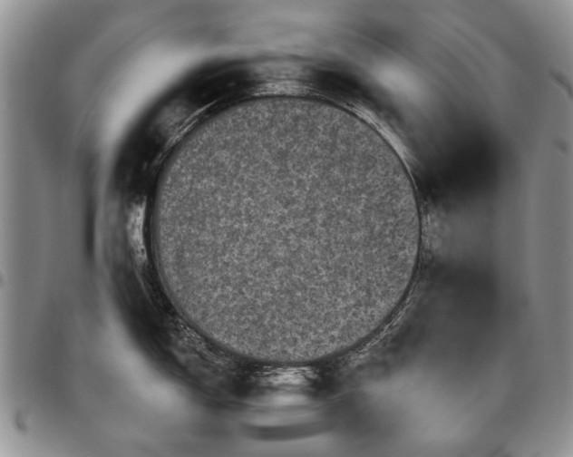 X0000097491150200802291425