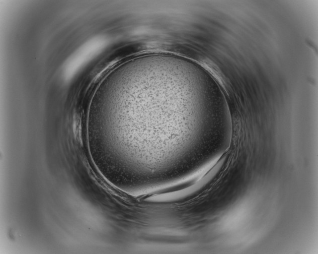 X0000097491151200802291425