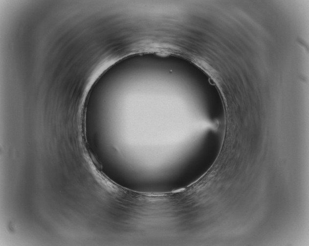 X0000097491152200802291425