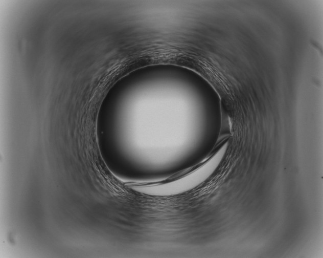 X0000097491153200802291425