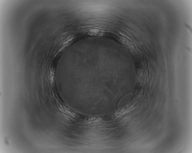 X0000097491154200802291425