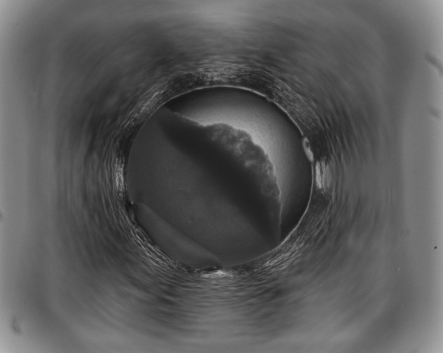 X0000097491155200802291425