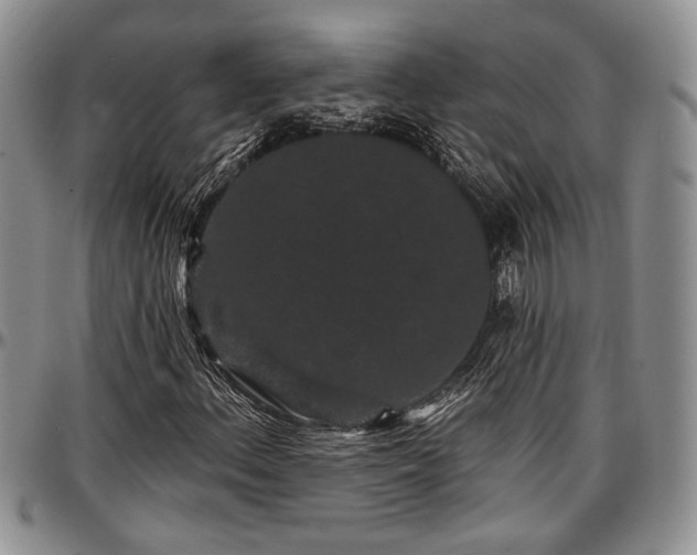 X0000097491156200802291425