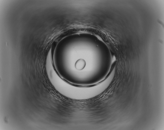 X0000097491157200802291425