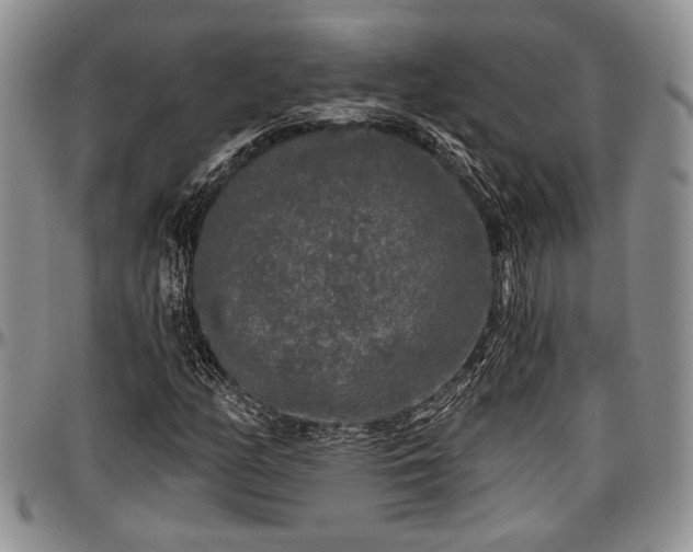 X0000097491158200802291425