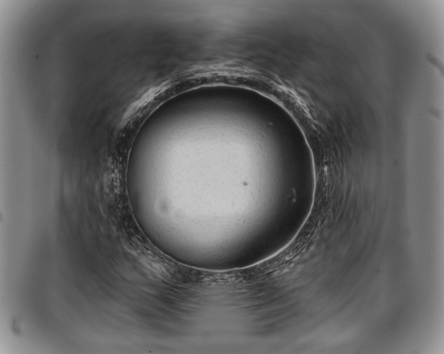 X0000097491159200802291425