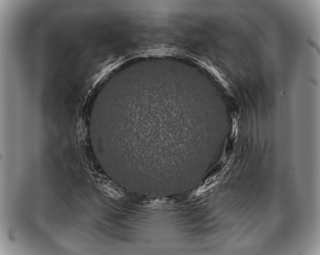 X0000097491160200802291425